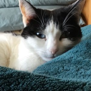 Meet your Posher, Linda